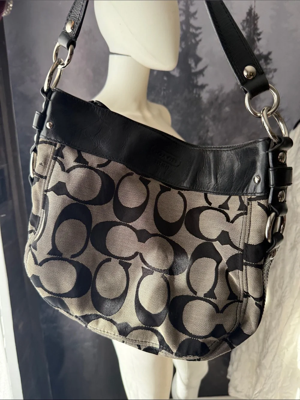 Coach signature canvas